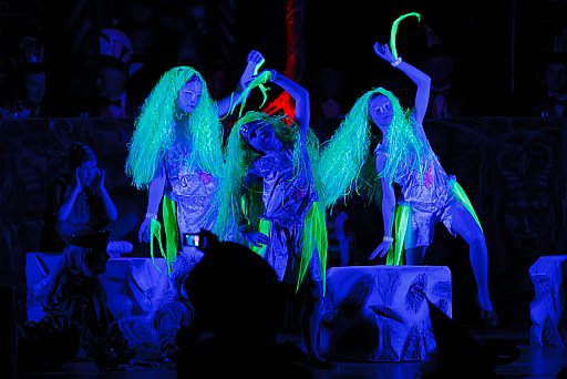 Prunksitzung 2012: Bild 77 von 230